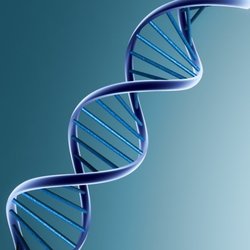 First Coast DNA Testing