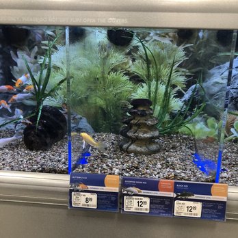 PetSmart - All by my self.... - Pet Groomers Near Me - Mesquite, Texas