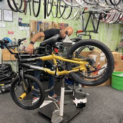 Alligator's Cycling
