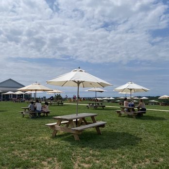 Windridge Vineyards - Wineries Near Me - Darnestown, Maryland Windridge Vineyards - Wineries Near Me - Darnestown, Maryland