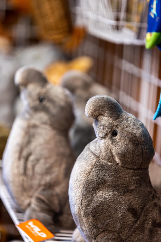 Año Nuevo State Park
