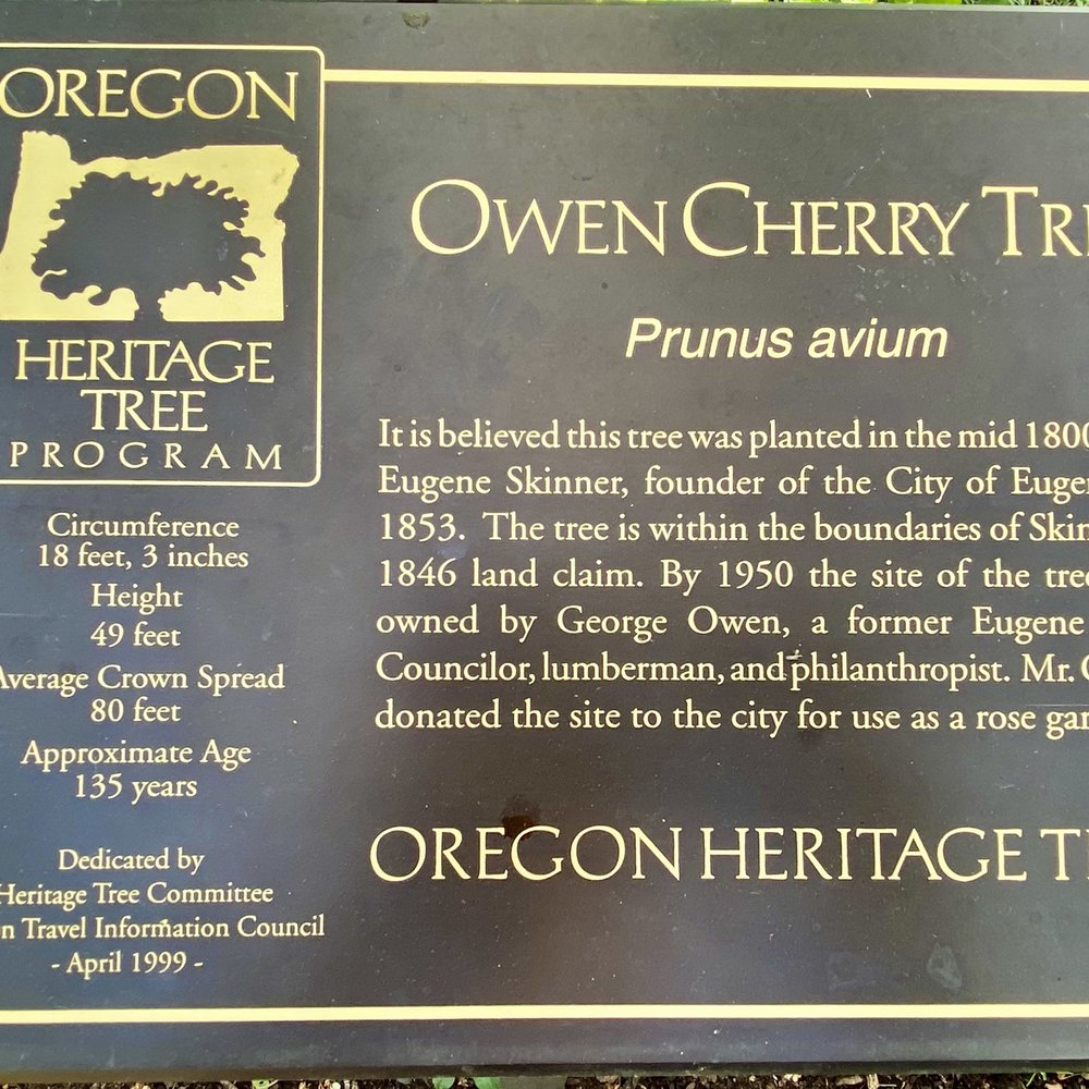 Owen Rose Garden - Parks Near Me - Eugene, Oregon Owen Rose Garden - Parks Near Me - Eugene, Oregon