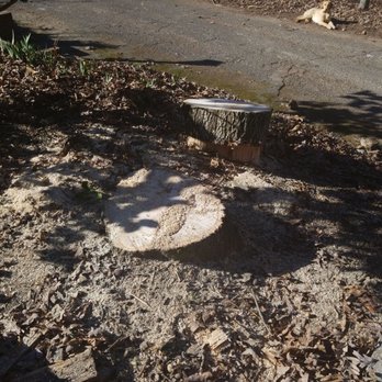 L & M & Them Tree Service - Tree Services Near Me