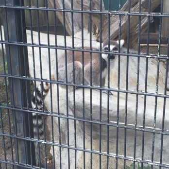Austin Zoo - Zoos Near Me - Austin, Texas
