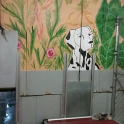Designer Pet Care