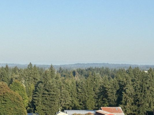 Hawks View Winery by null