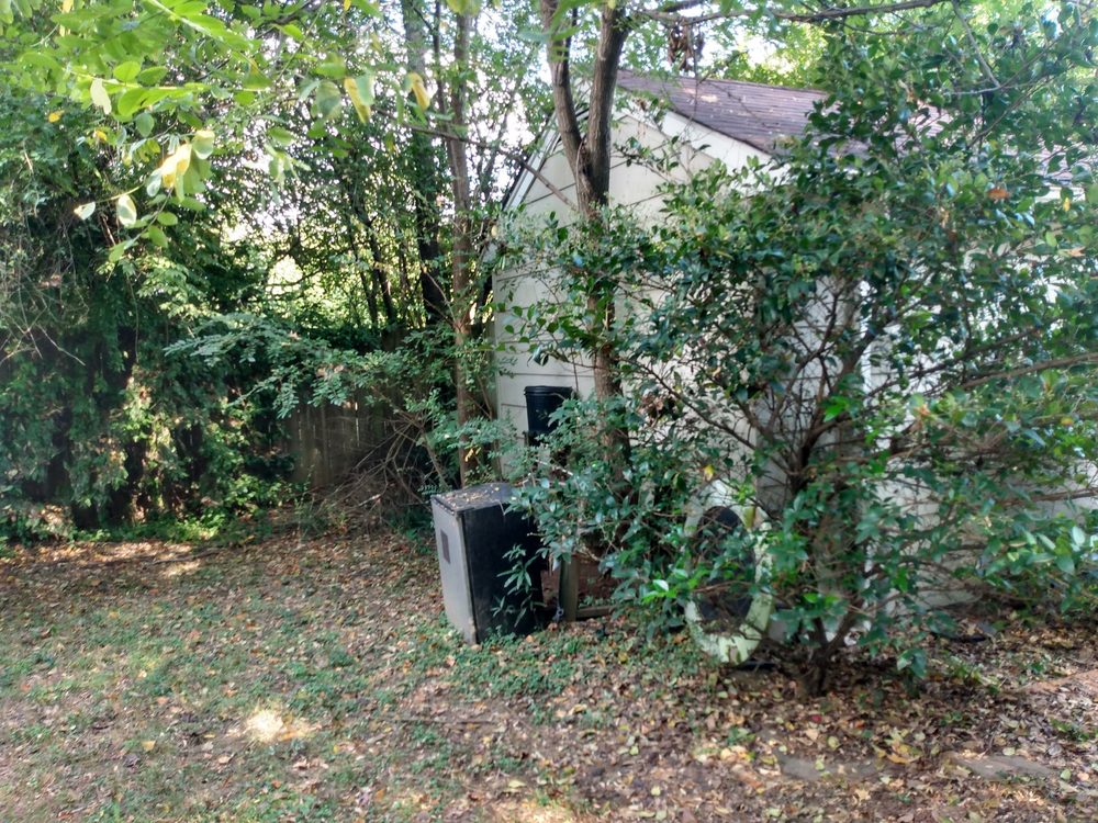 Lawn Chicks - tree service in Memphis, TN