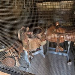 Fort Bridger Historical Site - Ladies saddles