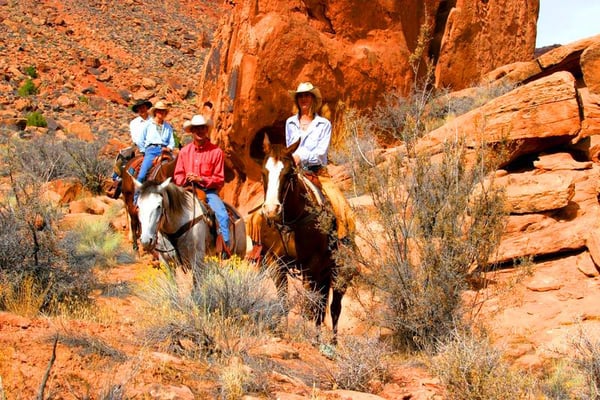 Red Cliffs Lodge Moab by null