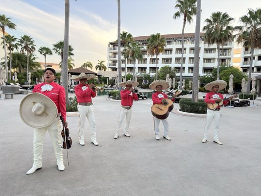 Secrets Playa Mujeres Golf & Spa Resort by null