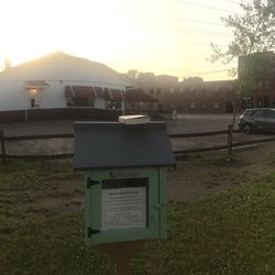 Little Free Library Springville