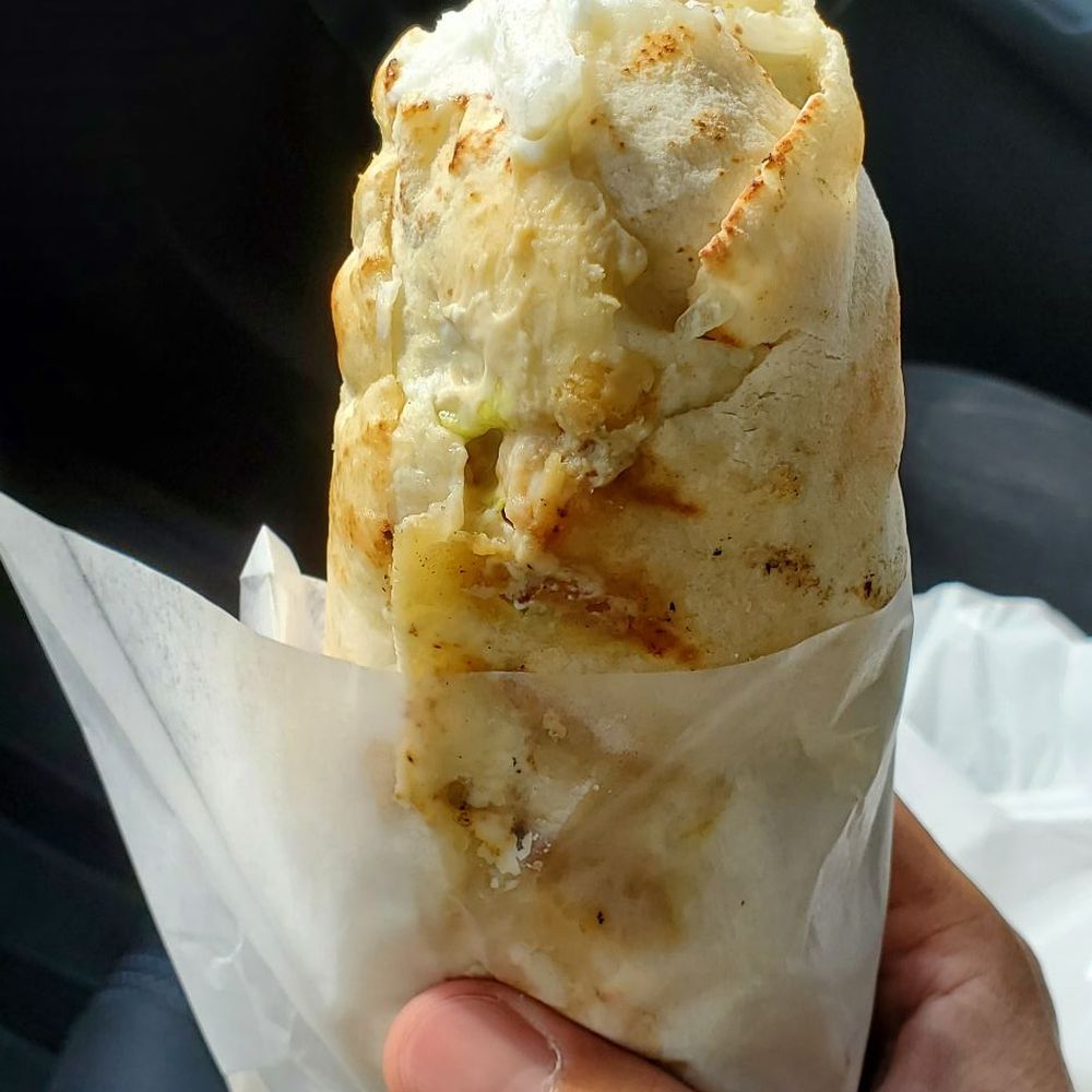 a hand holding a wrap of food