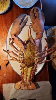 Red Lobster by null