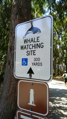 Lime Kiln Point State Park by null