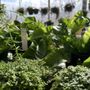 Photo of Shelburne Farm and Garden