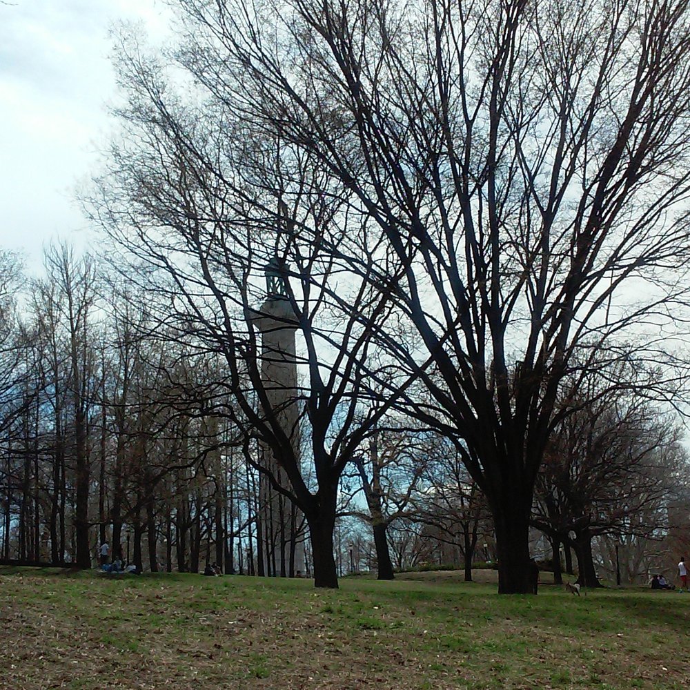 Fort Greene Park - Parks Near Me - Brooklyn, New York