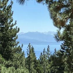 Tahoe Luxury Properties - View from the house
