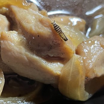 Dancing Chopsticks - a close up of a plate of food - Japanese Near Me - Buffalo, New York