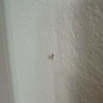 VS Pro Painting - Painters Near Me - Austin, Texas
