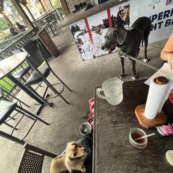 Mojo's Sports Grille - Patio, dog friendly - Sports Bars Near Me - Humble, Texas Mojo's Sports Grille - Patio, dog friendly - Sports Bars Near Me - Humble, Texas