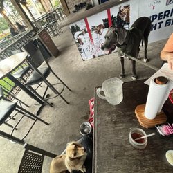 Mojo's Sports Grille - Patio, dog friendly