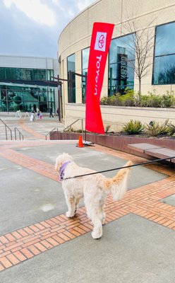 Oregon Convention Center by null
