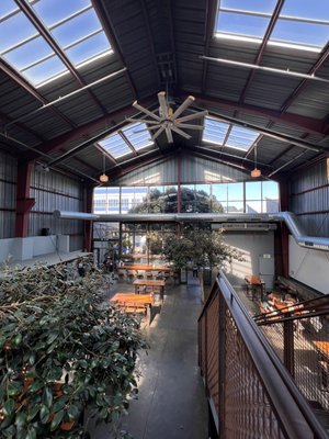 Southern Pacific Brewing by null