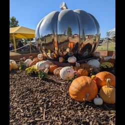 La Union Maze - Giant pumpkin