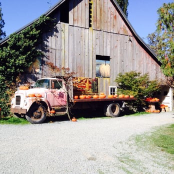 Gordon Skagit Farms - Fruits & Veggies Near Me - Mount Vernon, Washington Gordon Skagit Farms - Fruits & Veggies Near Me - Mount Vernon, Washington