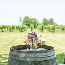Vivace Estate Winery - Beautiful Vineyard!