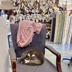Fabric Planet