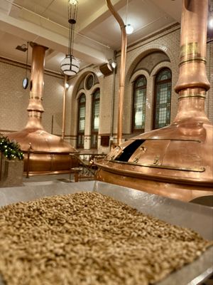 Heineken Experience by null