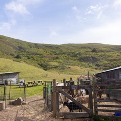 Slide Ranch