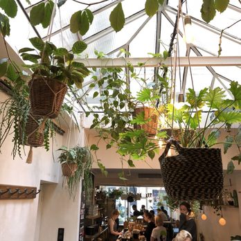 Wild & The Moon - Juice Bars & Smoothies Near Me - Paris, 75 Wild & The Moon - Juice Bars & Smoothies Near Me - Paris, 75