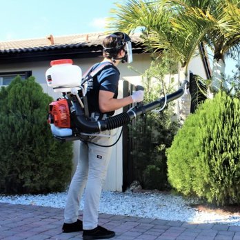 Eco Pest Control - Pest Control Near Me Eco Pest Control - Pest Control Near Me