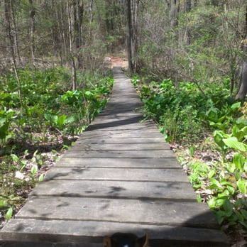Great Brook Farm State Park - Dog Parks Near Me - Carlisle, Massachusetts