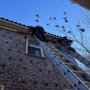 Photo of Doshi's Construction And Roofing