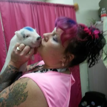 Dawn's Pet Palace - Piggy lover too!!! - Pet Groomers Near Me - Carmichael, California Dawn's Pet Palace - Piggy lover too!!! - Pet Groomers Near Me - Carmichael, California