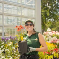 Abrahamson Nurseries