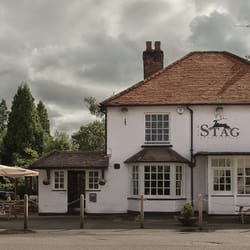 The Stag