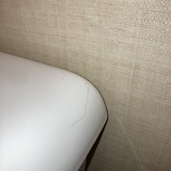 Comfort Suites West Warwick - Providence - Black hair. Not mine - Hotels Near Me - West Warwick, Rhode Island
