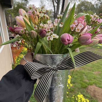 Fringe Flower Company - Absolutely beautiful bunch of Tulips ! - Florists Near Me Fringe Flower Company - Absolutely beautiful bunch of Tulips ! - Florists Near Me