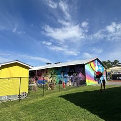 Tallahassee Street Art & Public Murals