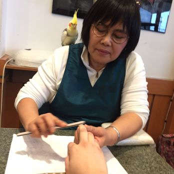 Lady Nails & Spa - Half way through getting my nails done she goes to get her bird. If I could have left I would have. - Nail Salons Near Me - Orange, Connecticut Lady Nails & Spa - Half way through getting my nails done she goes to get her bird. If I could have left I would have. - Nail Salons Near Me - Orange, Connecticut