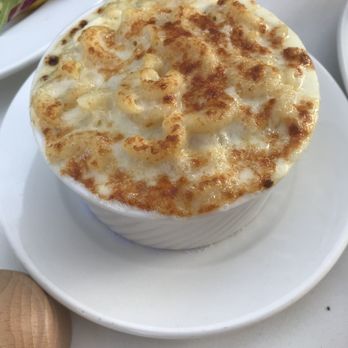 Willa's - Mac and Cheese - New American Near Me - Tampa, Florida Willa's - Mac and Cheese - New American Near Me - Tampa, Florida