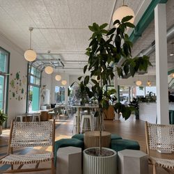 Creature Comforts Cafe