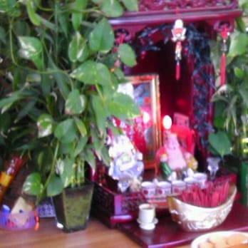 Famous Hair & Nails - Love the Shrine & all the Live Plants! - Hair Salons Near Me - Dublin, California Famous Hair & Nails - Love the Shrine & all the Live Plants! - Hair Salons Near Me - Dublin, California