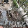 Photo of Joe Pardue Excavation