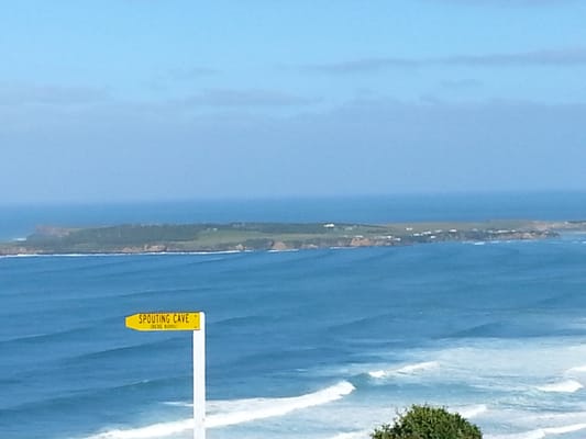 Whistling Frog - Cafe, Bar, Dining, Camping, Lodging - Catlins, NZ by null