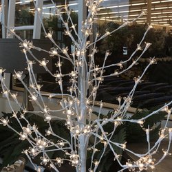 Hobby Lobby - Christmas is that you ?